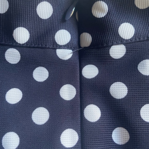 Tatyana/Blue and white polkadot skirt/ 3xl - Picture 4 of 7